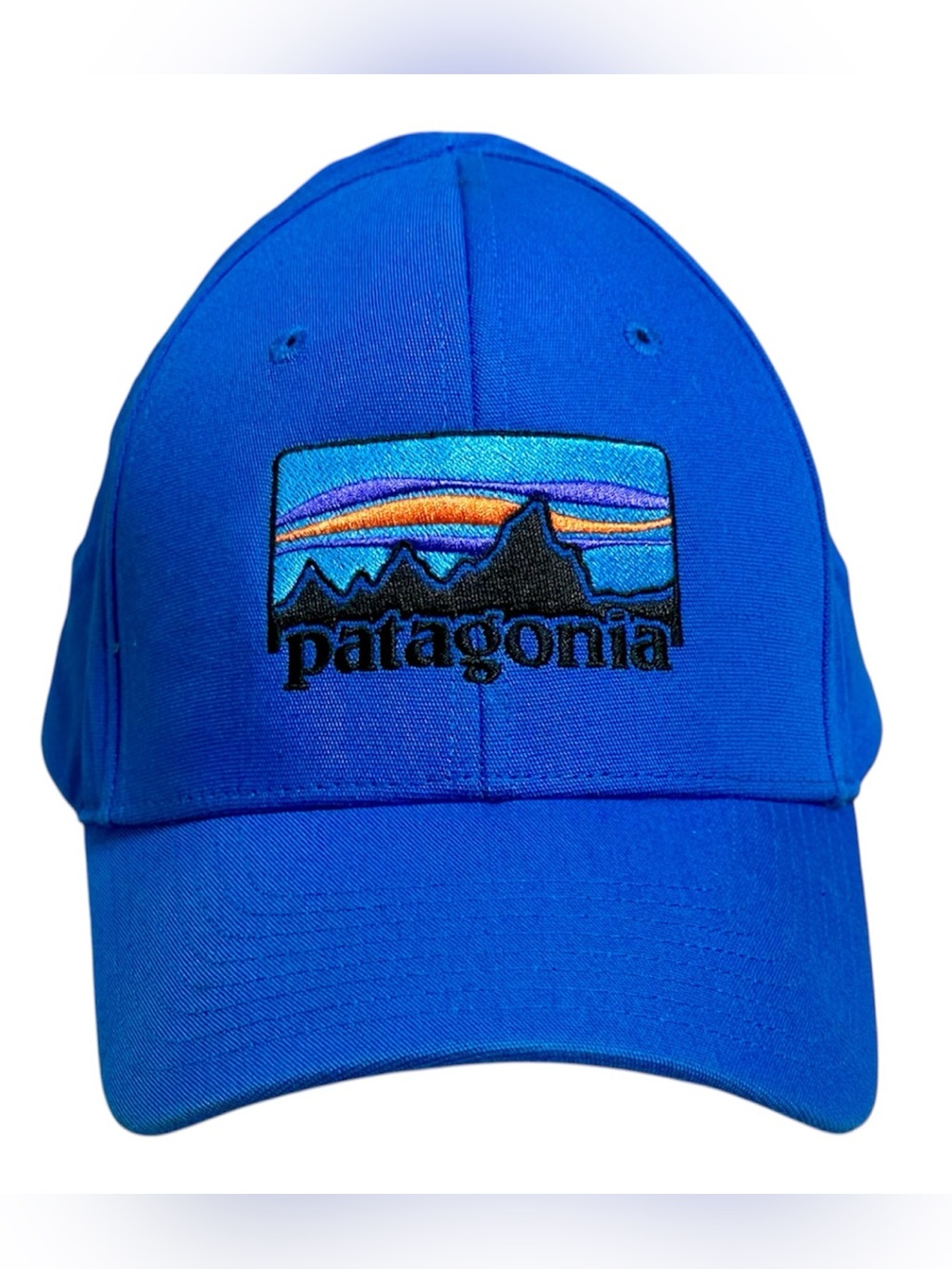Patagonia Hat Cap Snap Back Adult vibrant Blue